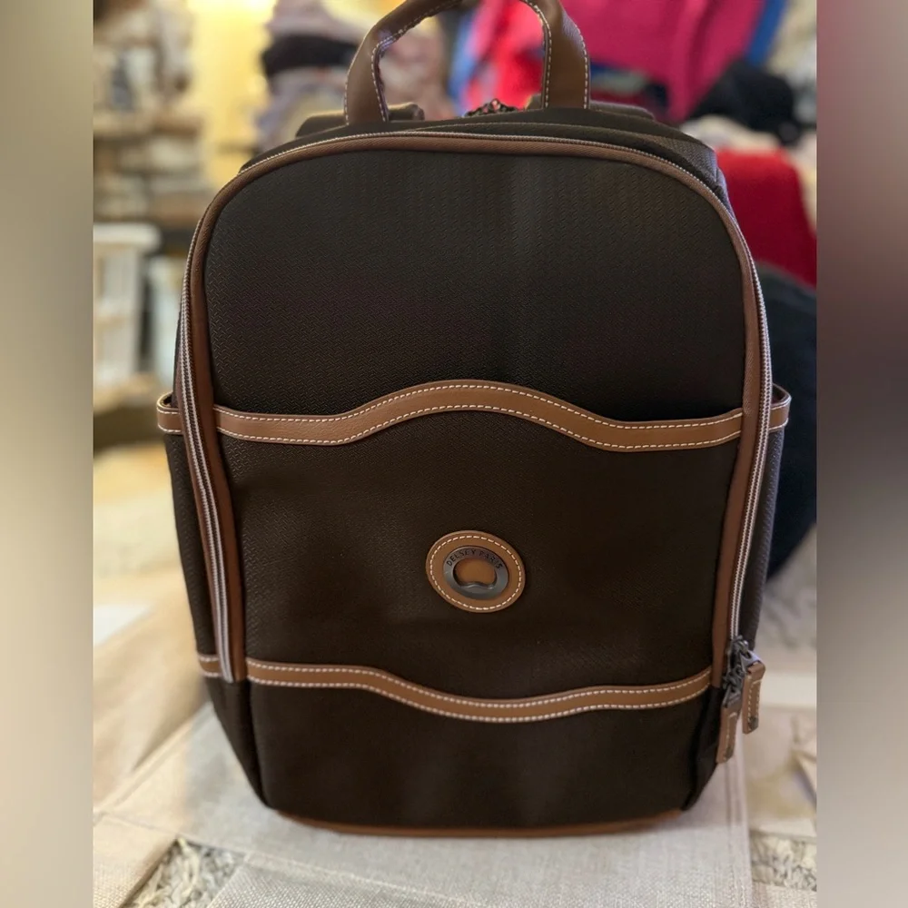 Delsey Paris Chalet Backpack - Picture 2 of 7